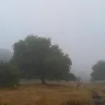 Cabana Los Chilcos